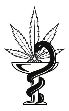 logo para seccin medicina