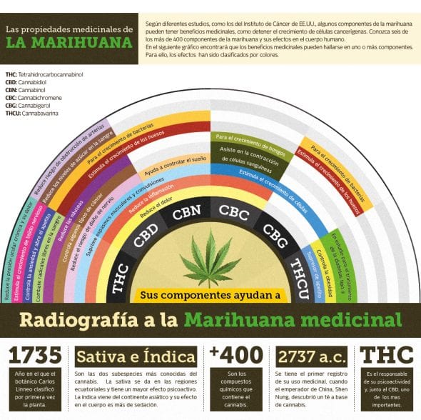 La Marihuana Medicinal , Infografía