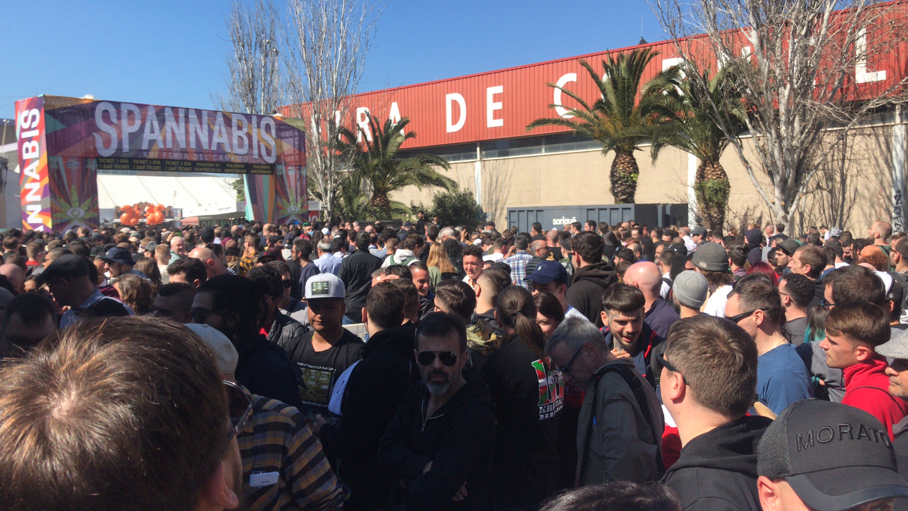 Visitar Ferias De Cannabis