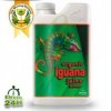 organic-iguana-juice-bloom.jpg