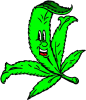 30-301562_early-misty-marijuanaseedscom-weed-cartoon-clipart.png