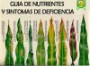 GUÍA DE NUTRIENTES Y SÍNTOMAS DE CARENCIAS EN LAS PLANTAS.jpg