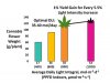cannabis-flower-weight-chart-expanded.jpg