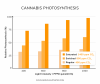 cannabis-co2-ppfd-2.png