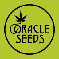 Oracle Seeds