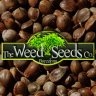 The Weed Seeds Co.