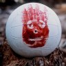 Wilson13
