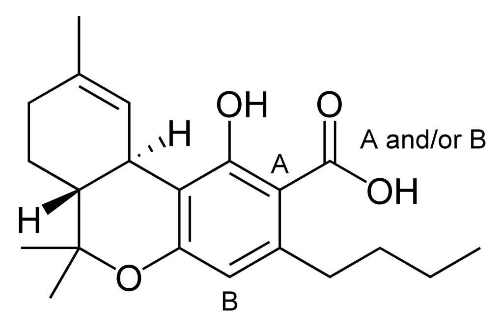 THCA-1