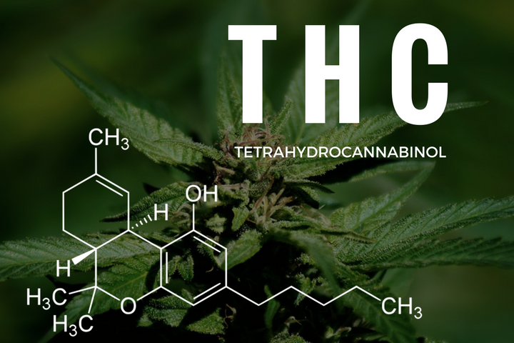 Los 5 Distintos Tipos De THC Y Sus Efectos